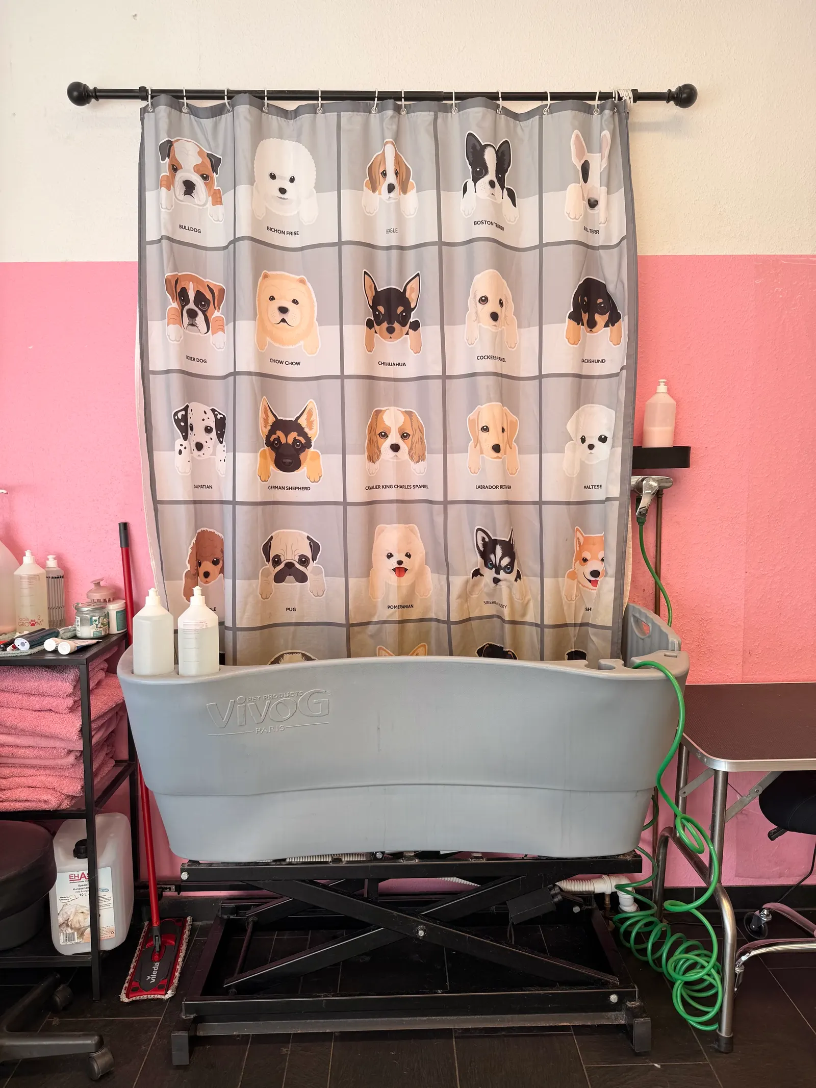 Höhenverstellbare Hundebadewanne mit Duschvorhang vor der rosa Wand