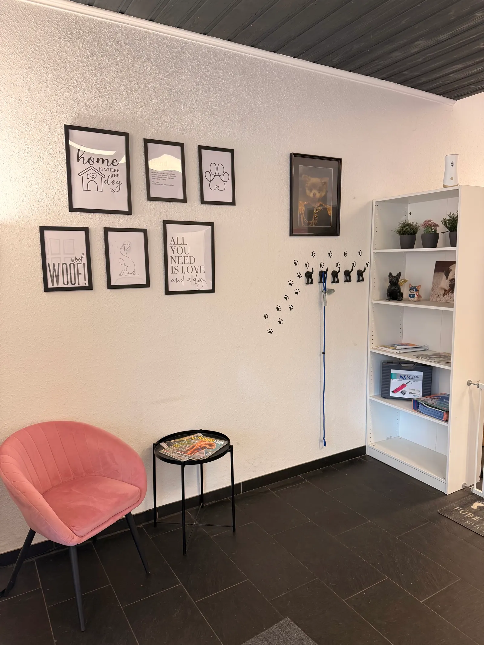 Wartebereich mit rosa Sessel, Hundebildern an der Wand und Bücherregal